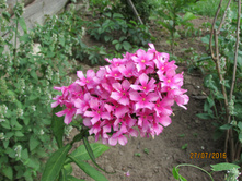 ����������� ���� �����.JPG