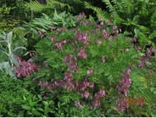 �������� �������������.JPG