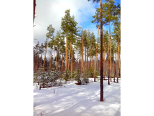 IMG 20170325 112757.jpg