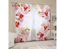 ��������� "������� �������" 2 440,00 ���. �����: ����������� �������: 290x260 �� ��������: �������� �����: 03892 �������������: ������