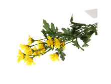 ����� ������������� "������� ֣����"����� ������������� "������� ֣����" �����; 50 ��; �������, ��������; � ����� 300 ��. ���.: 140911 60.00���.