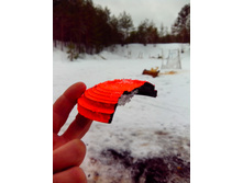 IMG 20170304 111148.jpg