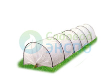 ������ ���� 6 �-590 �