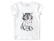 ������� ����������� �������� � �������� ������� - 300 ���