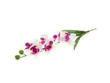 ����� ������������� "������ �������" ��������-���������� ������������� "������ �������" ��������-����� �����; 60 ��; �������, ��������; � ����� 600 ��. ���.: 701086 49.30���.