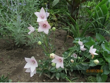 ���������� ������� ����� ���.JPG