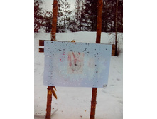 IMG 20170304 111507.jpg