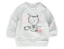 ������� ����������� ��������� � ������� ������� ��� ������� - 480 ���