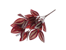 ����� "����-���������" 30 ������� "����-���������" 30 �� �����; 30 ��; �������, ��������; � ����� 600 ��. ���.: 1840826 52.00 ���.