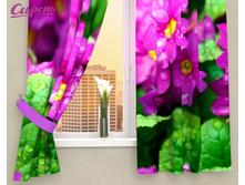 ��������� "������" 1 970,00 ���. �����: ����������� �������: 290*160 �� ��������: �������� �����: 03059 �������������: ������