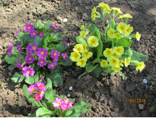 ��������, ����, ����� �����.JPG