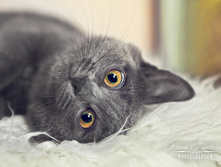 IMG 9960-���.jpg