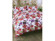 ��� 2 ��. � ������������� ���� ���� "������ 816" 988,00 ���.