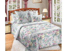 ��� ������� 2.0 �� � ������������� ���� "����� ��� 3" 1 617,00 ���.