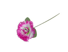 ������ ������������� "��������� ��������"������ ������������� "��������� ��������" �����; 25 ��; �������, ��������; � ����� 5000 ��. ���.: 1376818 5.28 ���.