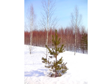 IMG 20170311 101253.jpg