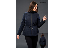 �102 - 3390 ���