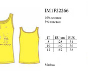 ����� IM1F22266 Viaggio.jpg