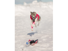 32764982710 d21a9d7325 o.jpg