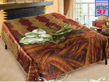 ��������� ���� ���� (200�220) �������� "�����" 811,00 ���.