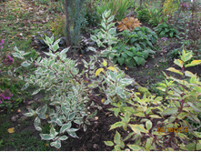 ����� �������������.JPG