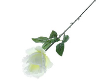 ������ ������������� "������ ����" ����������� ������������� "������ ����" ����� �����; 7 �� × 53 ��; �������, ��������; � ����� 900 ��. ���.: 1659282 32.89���.