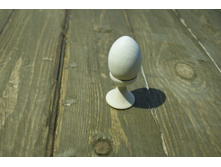 2799 �������� ��������� � ����( �����)  ����: 23 ���