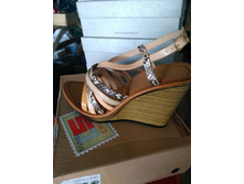 �������� ����