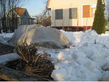 ����� 078.jpg