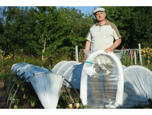 �������!!! ������ ���������� ���� 4� 990�