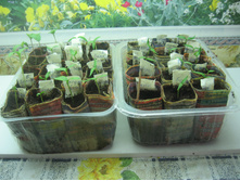 ������� � ���.�����������.JPG