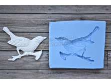 ���� ����� 120���