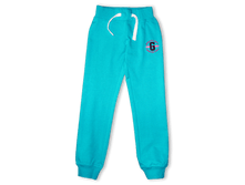 ������� ����������� ����� - 455 ���