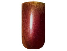 198 ���. - ����-��� RuNail Chameleon 7 �� 2939