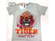 �������� � ������