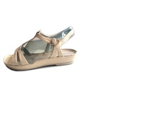 1686 2499 ����� ���� 40�.jpg