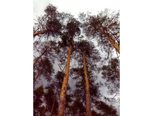 IMG 20170424 152220.jpg