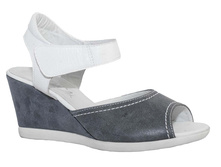 557 ���� ����� � ���� ����� � �����