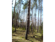 IMG 20170430 131849.jpg