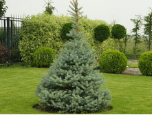 ��� ������� ��� ������� (�9).jpg