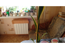 ����������� ��������