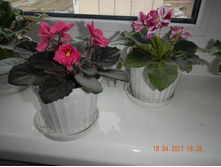 ������ ����� � ������ �����