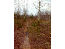 IMG 20170408 131142.jpg