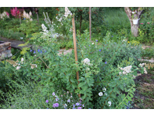 ������ ������� ���������� (�ϣ ����)