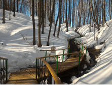 P 20170312 110410.jpg