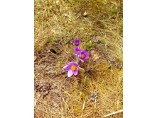 IMG 20170422 124333.jpg