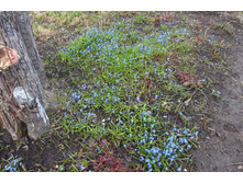 ����� ��������� ��������� �����