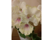 IMG 20170407 002508 AO HDR.jpg