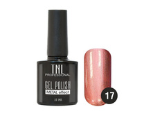 162 ���. - ������� ����-��� "TNL - Metal" ?17- �������� (10 ��.)