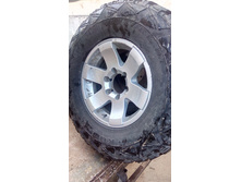10ae1ees-960.jpg